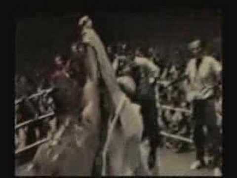 HL Rickson Gracie By Grub