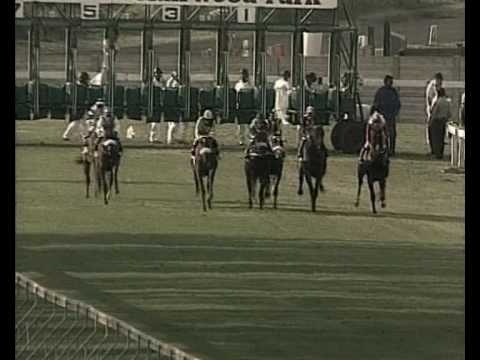 Horse Chestnut   A South African Horse Racing Legend Part 02