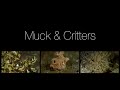 4k Muck & Critter, Blue Bay Divers, Sahaung Island, Nord Sulawesi, Indonesien, Sulawesi