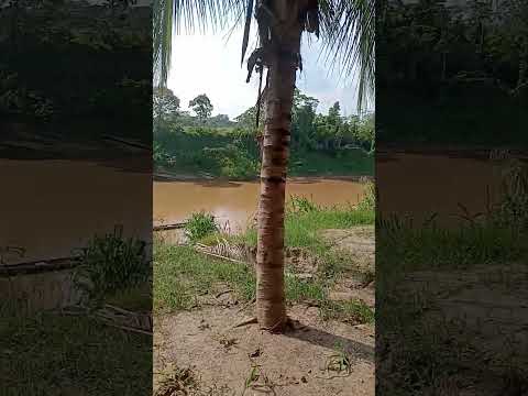 Pracinha em Xapuri acre