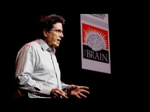 Your brain is more than a bag of chemicals - David Anderson