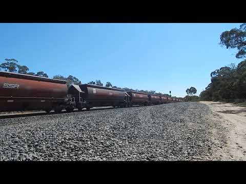 9733V empty SSR grain train at Pyrenees Loop