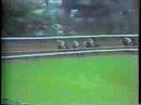 Wajima - 1975 Travers Stakes