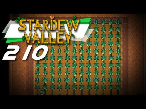 STARFRUIT HARVEST!! || Stardew Valley #210