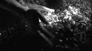 Ваня Глазачев - Butthole surfers - Whatever (I had a dream)