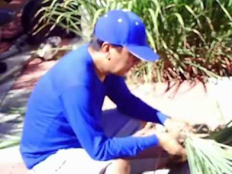 Mga Aral Para sa pagbaba ng timbang sa bahay ngayong linggo Kaysa sa paggamot sa mga isda loses timbang