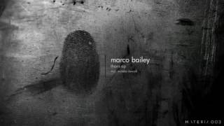 Marco Bailey - Thorn (Moteka remix) [MATERIA]
