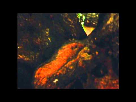 Super 8 Project Presentation : Cinery City | [SPK] Studios