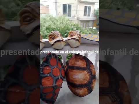 proyecto del Morrocoy: Aguachica Cesar