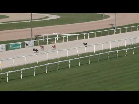 2019.08.11. - agár futam