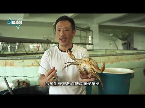 EP1｜生命的起點：青蟹人工繁殖與育苗技術開發