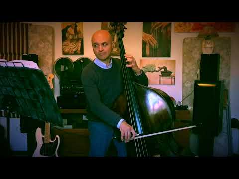 CORSO DI CONTRABBASSO DI MRSUNNYBASS #35 QUINTA POSIZIONE GLI STUDI