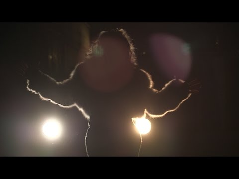 The Stone Foxes - I Want To Be You (Official Video)