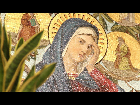 Santuario Madonna dei Miracoli - Lonigo - VI