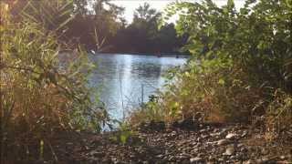 preview picture of video 'CARPFISHING LAGO ANTILLE   It's Summer!    HD'