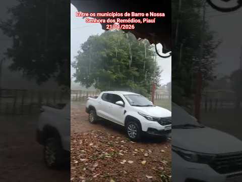 🇧🇷 CHUVA NO PIAUÍ, ENTRE OS MUNICÍPIOS DE BARRO E NOSSA SENHORA DOS REMÉDIOS, PIAUÍ 21/01/2026 #chuv