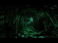 Devoid - The Caverns of Shoggoth  (dark ambient Lovecraft music)