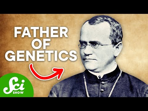 The Man Who Discovered Dominant & Recessive Genes: Meet Gregor Mendel