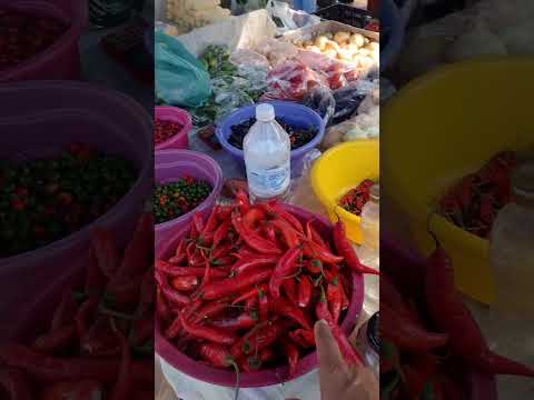 Praça Central de Ituverava - SP 423 Km marco 0 de São Paulo - As belezas - Praça Central 10 de março