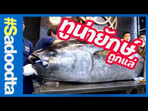 วิธีการทำผ่าตัดในสมาชิกของบังเหียน ที่หาย dostineks แรง