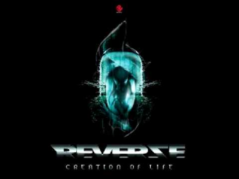 The Playboyz - Rockin (Dark-E Remix)