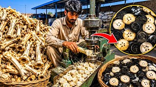 Millions of Animal Bones Are Turned Into Buttons | Incredible Manufacturing Process