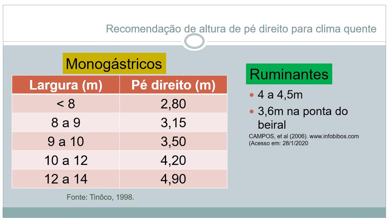Modificações primárias I