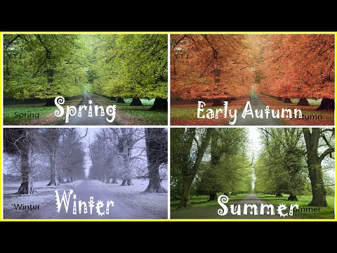 ETS2 Realistic Major Dynamic Seasons Mods Comparison for 1.46