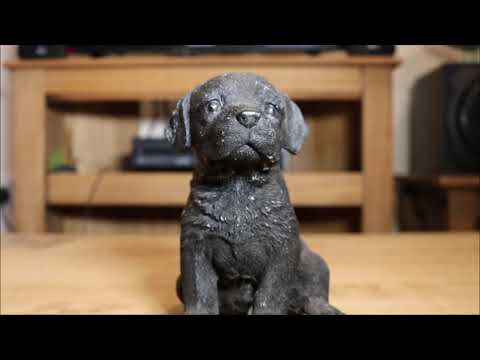 Doggio || A Nandi Entertainment Short || Nandi Entertainment