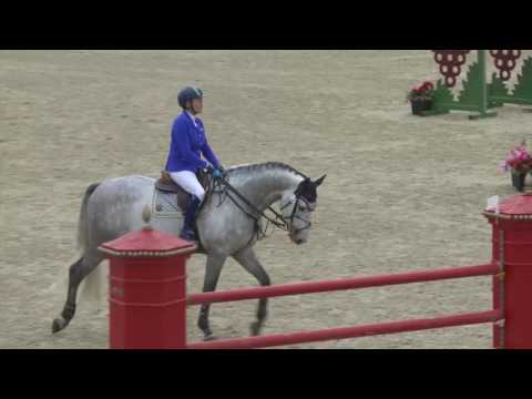 Chepstow International CSI2* - Day 2 - Class 8 CSI2* Medium Tour 1.35m Accumulator