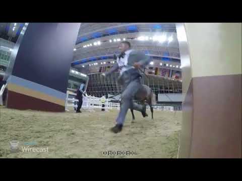 غازي الناصر ( غزوان الناصر X سارة الناصر ) Ghazi Al Nasser (Gazwan Al Nasser X Sarah Al Nasser)