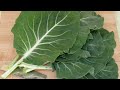 10 Types Of Kale And How To Use Them