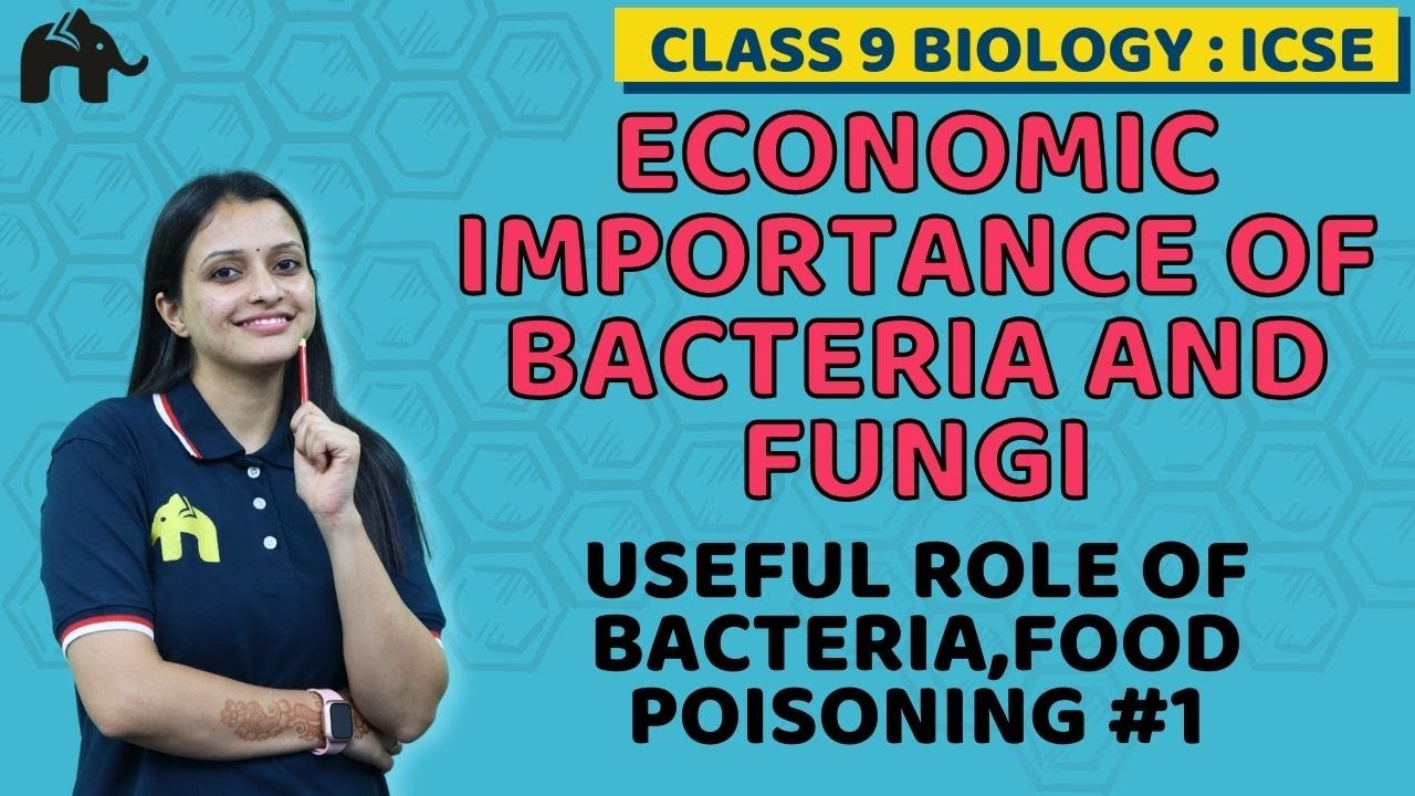 Economic Importance of Bacteria and Fungi Class 9 ICSE Biology Chapter 8| Bacteria,Food Poisoning #1