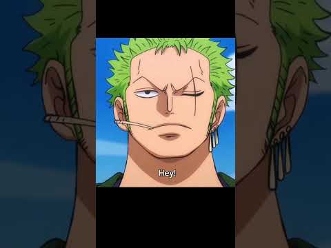 zoro and luffy's friendship ❤️