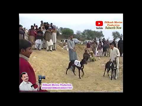 track Derby (5.6.7.02.2010) sochyani dadyal(AJK) PART 3