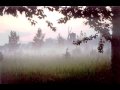 Nicola Arigliano - Nebbia