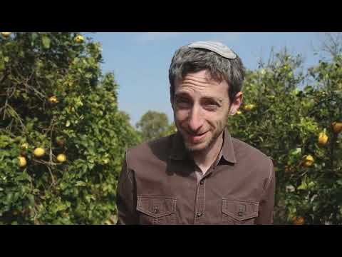 Excuse me, sir. Is the fruit orlah? | Starring Yair Jacobi (Underdos)