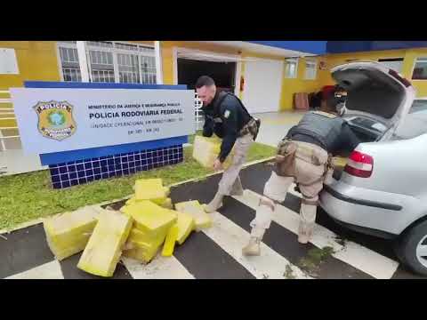 PRF apreende 207 quilos de maconha e prende quatro pessoas na BR-285 em Passo Fundo