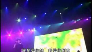 矜持 王菲全面體演唱會