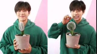 how to find love -B1A4 CNU