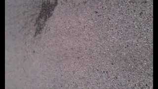 68th and Bell washdown