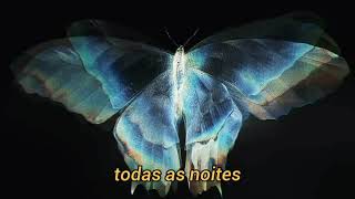 Fiona Apple - every single night (legendado)