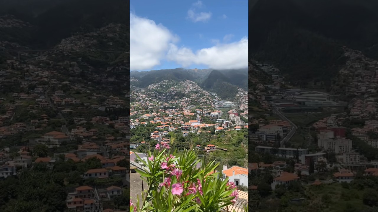 YouTube Short thumbnail