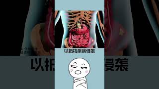 藥王孫思邈的神奇養生法！#shorts #short