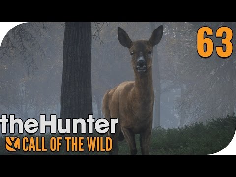 THE HUNTER: CALL OF THE WILD #63 - BALD MOUNTAINS, FULL VALLEYS! 🐗 || PantoffelPlays