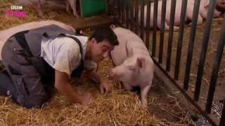 Talking Snout to Snout - My Life As An Animal - BBC Three