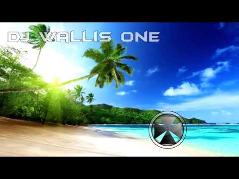 DJ Wallis One Ft  Pierre Denis Lamarre & Elmir - Sad Love