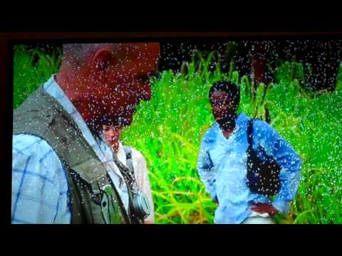 Samsung DLP White Dots