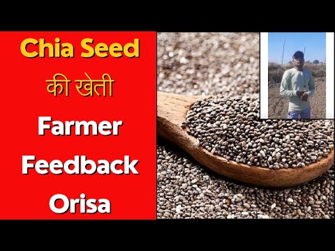 Chia Seed Contract Farming