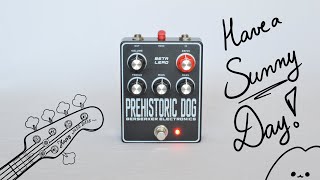 Video thumbnail for PoP Raws | Berserker Electronics Prehistoric Dog | Sunn Beta Lead PREAMP! | 5 string Jazz Bass DEMO! by Pair of Pandas